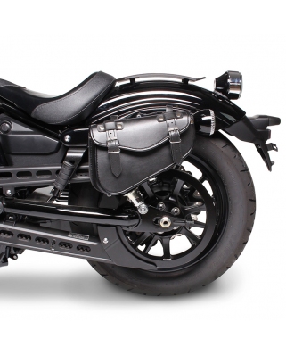 Motorcycle Saddlebags For Custom Bikes Arizona